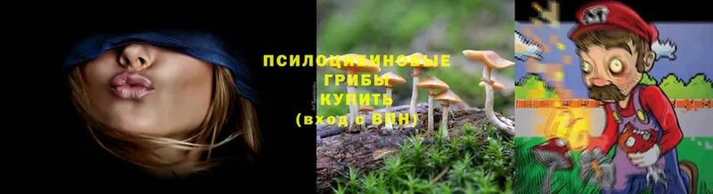 Псилоцибиновые грибы MAGIC MUSHROOMS  Данков 